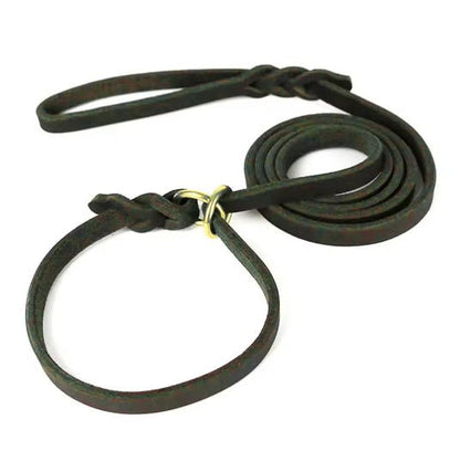Leather Slip Lead — One - Piece Leash and Collar with Brass Ring - Leather Dog Leash - Paw Tribe