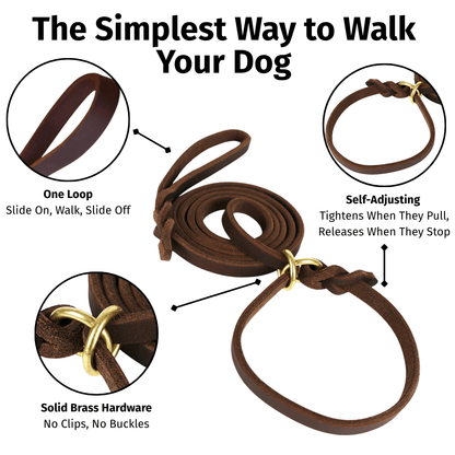 Leather Slip Lead — One - Piece Leash and Collar with Brass Ring - Leather Dog Leash - Paw Tribe