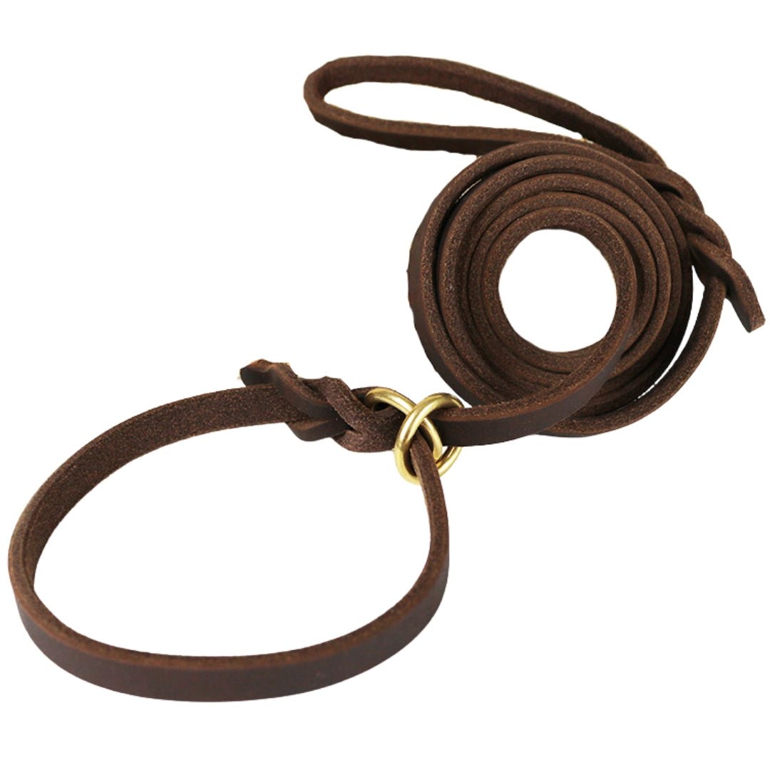 Leather Slip Lead — One - Piece Leash and Collar with Brass Ring - Leather Dog Leash - Paw Tribe