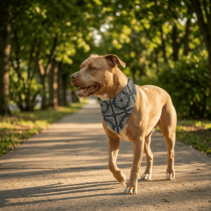 Paliacate Dog Bandana — Black - Pets - Paw Tribe