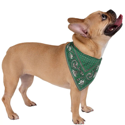 Paliacate Dog Bandana — Green - Pets - Paw Tribe