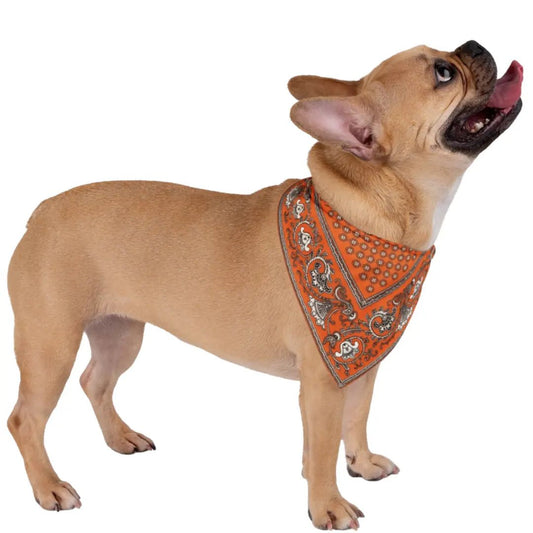 Paliacate Dog Bandana — Orange - Pets - Paw Tribe