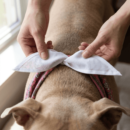 Paliacate Dog Bandana — Pink - Pets - Paw Tribe