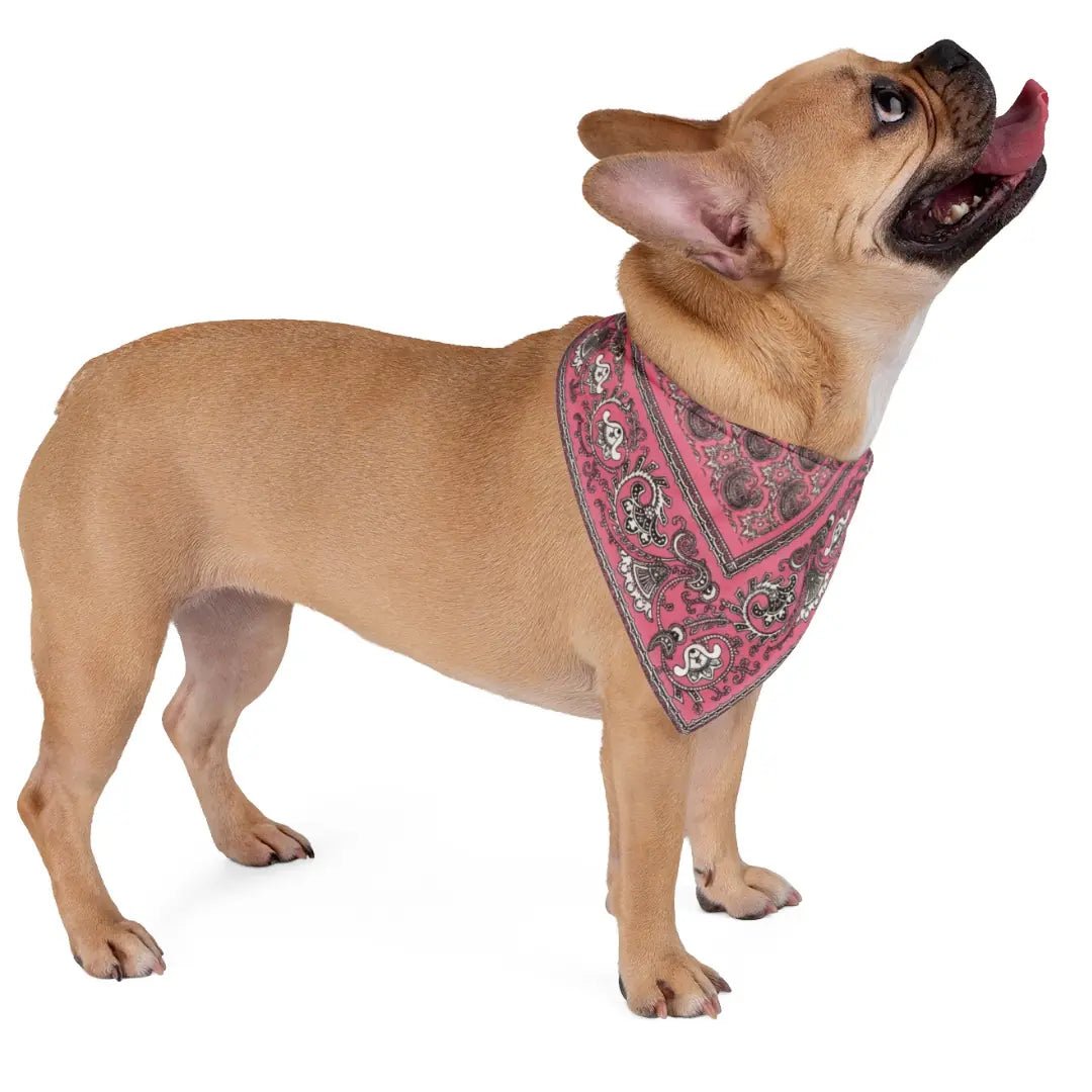 Paliacate Dog Bandana — Pink - Pets - Paw Tribe