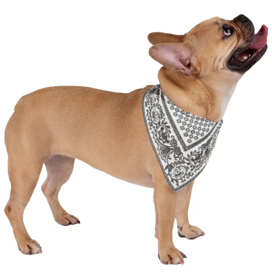 Paliacate Dog Bandana — White - Pets - Paw Tribe