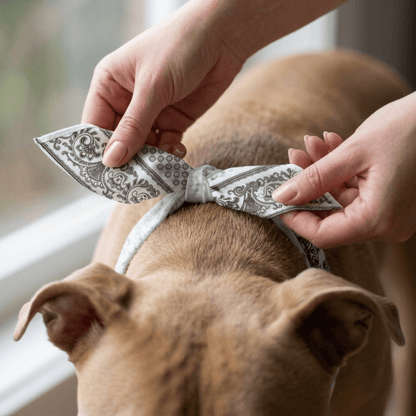 Paliacate Dog Bandana — White - Pets - Paw Tribe