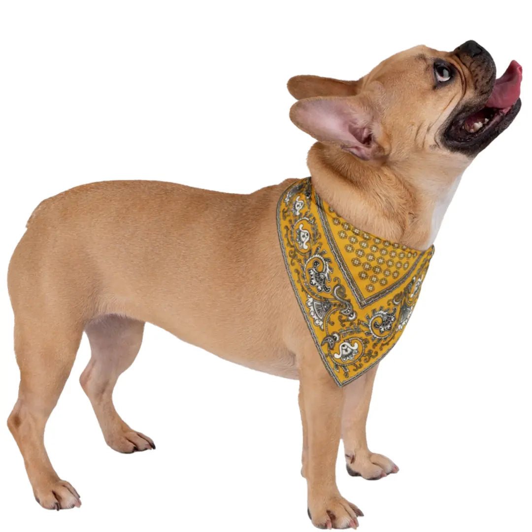Paliacate Dog Bandana — Yellow - Pets - Paw Tribe