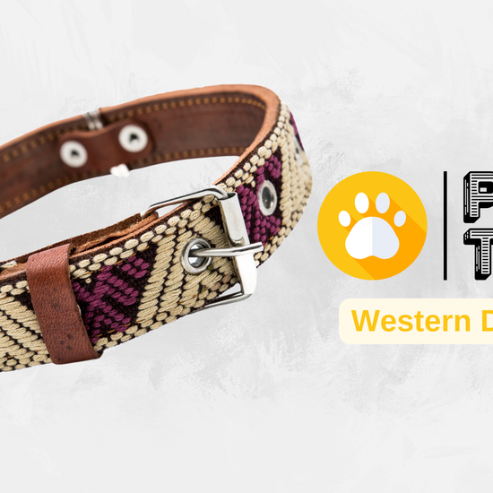 Video showing a handcrafted Leather Dog Collar, highlighting its artisanal craftsmanship by Mexican artisans. The video demonstrates the collar's genuine leather, intricate Aztec-inspired embroidered design, and heavy-duty stainless steel D-rings for durability and security. It also showcases the collar's comfort features, including inner leather padding, and various sizes suitable for small, medium, and large dogs.
