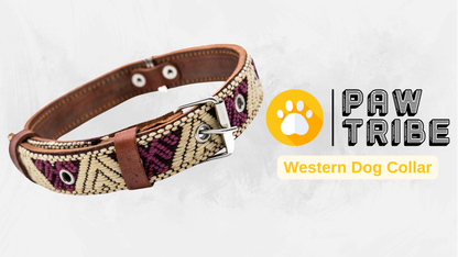 Video showing a handcrafted Leather Dog Collar, highlighting its artisanal craftsmanship by Mexican artisans. The video demonstrates the collar's genuine leather, intricate Aztec-inspired embroidered design, and heavy-duty stainless steel D-rings for durability and security. It also showcases the collar's comfort features, including inner leather padding, and various sizes suitable for small, medium, and large dogs.