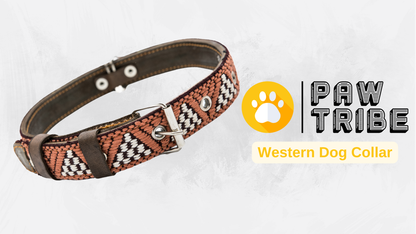 Video showing a handcrafted Leather Dog Collar, highlighting its artisanal craftsmanship by Mexican artisans. The video demonstrates the collar's genuine leather, intricate Aztec-inspired embroidered design, and heavy-duty stainless steel D-rings for durability and security. It also showcases the collar's comfort features, including inner leather padding, and various sizes suitable for small, medium, and large dogs.
