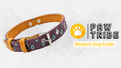 Video showing a handcrafted Leather Dog Collar, highlighting its artisanal craftsmanship by Mexican artisans. The video demonstrates the collar's genuine leather, intricate Aztec-inspired embroidered design, and heavy-duty stainless steel D-rings for durability and security. It also showcases the collar's comfort features, including inner leather padding, and various sizes suitable for small, medium, and large dogs.