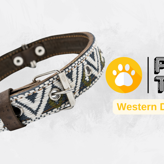 Video showing a handcrafted Leather Dog Collar, highlighting its artisanal craftsmanship by Mexican artisans. The video demonstrates the collar's genuine leather, intricate Aztec-inspired embroidered design, and heavy-duty stainless steel D-rings for durability and security. It also showcases the collar's comfort features, including inner leather padding, and various sizes suitable for small, medium, and large dogs.