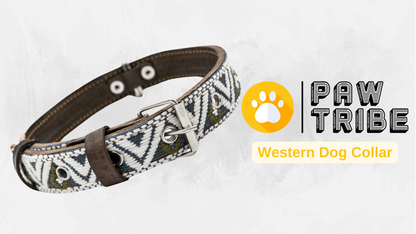 Video showing a handcrafted Leather Dog Collar, highlighting its artisanal craftsmanship by Mexican artisans. The video demonstrates the collar's genuine leather, intricate Aztec-inspired embroidered design, and heavy-duty stainless steel D-rings for durability and security. It also showcases the collar's comfort features, including inner leather padding, and various sizes suitable for small, medium, and large dogs.