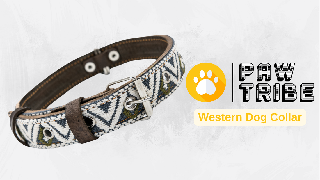 Video showing a handcrafted Leather Dog Collar, highlighting its artisanal craftsmanship by Mexican artisans. The video demonstrates the collar's genuine leather, intricate Aztec-inspired embroidered design, and heavy-duty stainless steel D-rings for durability and security. It also showcases the collar's comfort features, including inner leather padding, and various sizes suitable for small, medium, and large dogs.