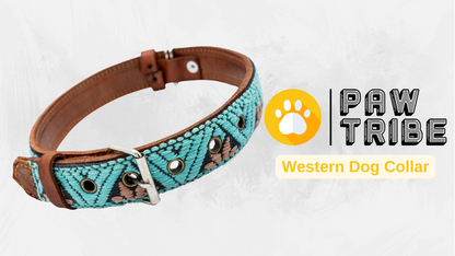 Video showing a handcrafted Leather Dog Collar, highlighting its artisanal craftsmanship by Mexican artisans. The video demonstrates the collar's genuine leather, intricate Aztec-inspired embroidered design, and heavy-duty stainless steel D-rings for durability and security. It also showcases the collar's comfort features, including inner leather padding, and various sizes suitable for small, medium, and large dogs.